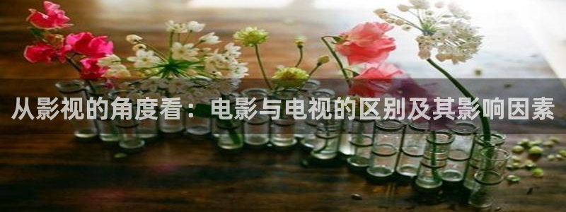 6080新视觉影院在线观看视频：从影视的角度看：电影与电视的区别及其影响因素