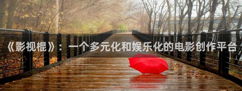 6080影院新视觉6080：《影视棍》：一个多元化和娱乐化的电影创作平台