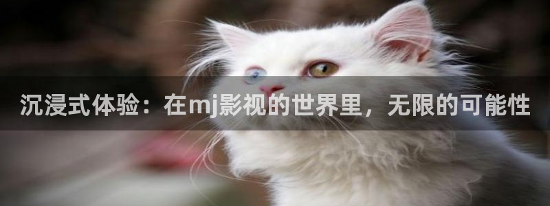 6080新视觉app