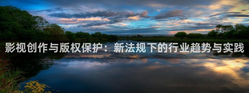 新视觉电视电影网4480：影视创作与版权保护：新法规下的行业趋势与实践
