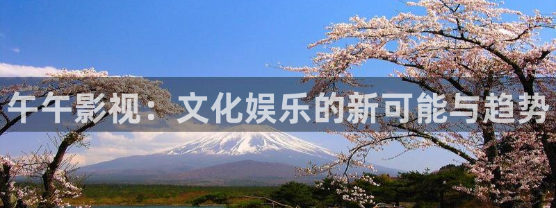 新视觉2024：午午影视：文化娱乐的新可能与趋势
