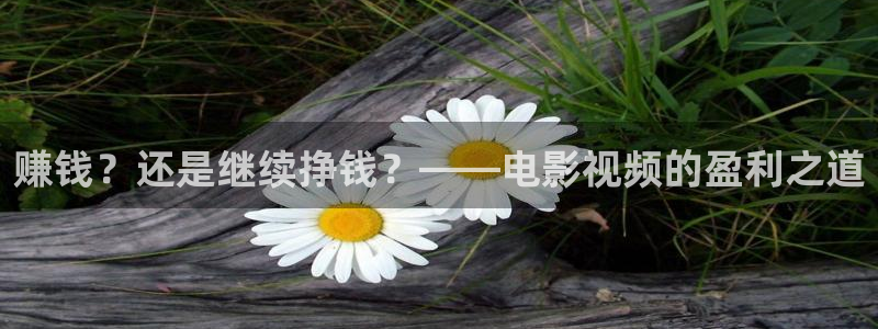 yy6080新视觉电视剧电影在线观看：赚钱？还是继续挣钱？——电影视频的盈利之道