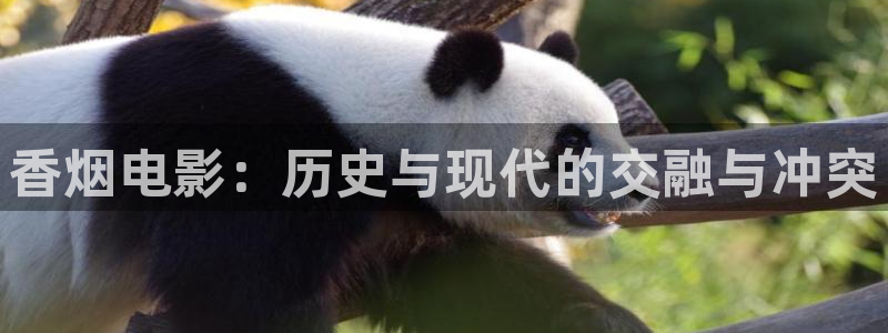0608新视觉影院：香烟电影：历史与现代的交融与冲突
