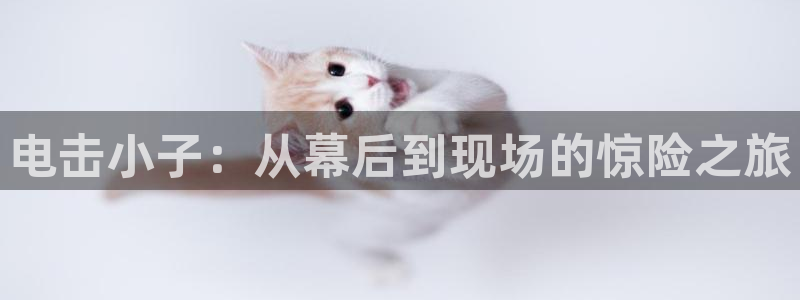 武汉新视觉联盟：电击小子：从幕后到现场的惊险之旅