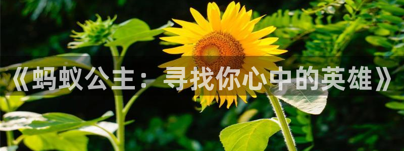 新视觉好片网