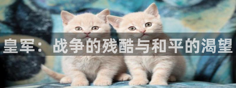 新视觉8090影视大全：皇军：战争的残酷与和平的渴望