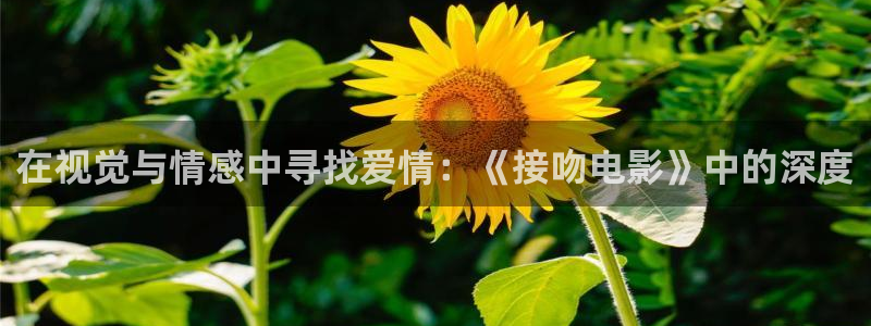 新视觉6029：在视觉与情感中寻找爱情：《接吻电影》中的深度
