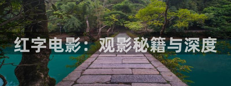 6080新视觉理论三级：红字电影：观影秘籍与深度