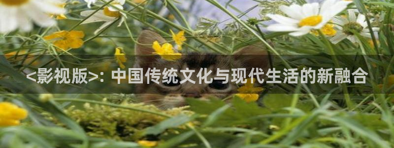 4010新视觉影院：<影视版>: 中国传统文化与现代生活的新融合