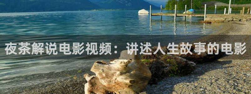 6029新视觉：夜茶解说电影视频：讲述人生故事的电影