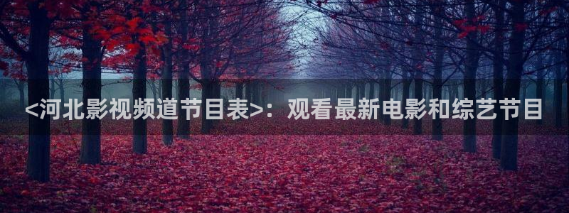 新视觉影院神马：<河北影视频道节目表>：观看最新电影和综艺节目