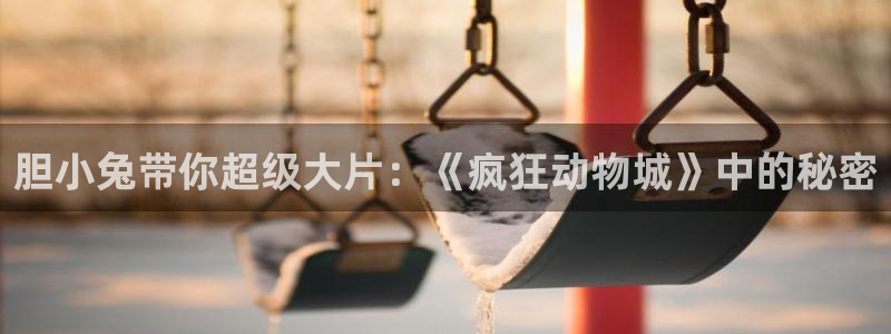 新视觉影院观看免费完整版：胆小兔带你超级大片：《疯狂动物城》中的秘密