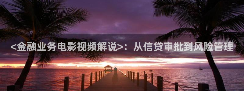 新视觉电视电影网6080：<金融业务电影视频解说>：从信贷审批到风险管理