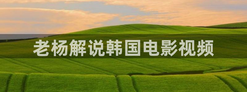 新视觉午夜剧场：老杨解说韩国电影视频