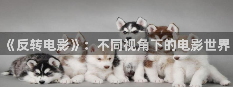 6029新视觉：《反转电影》：不同视角下的电影世界