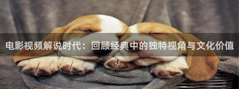 yy6080新视觉高清电影在线观看网站：电影视频解说时代：回顾经典中的独特视角与文化价值
