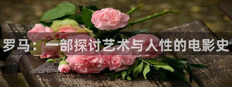 新视觉yy6080私人影院：罗马：一部探讨艺术与人性的电影史