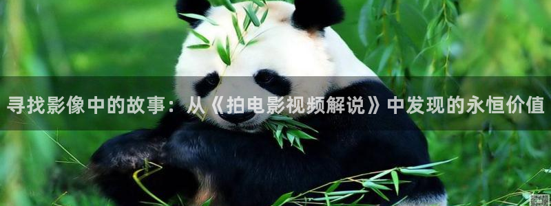 新视觉0：寻找影像中的故事：从《拍电影视频解说》中发现的永恒价值