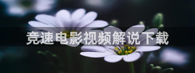 新视觉4480私人影院：竞速电影视频解说下载