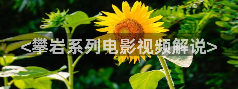 新视觉影院万利达：<攀岩系列电影视频解说>