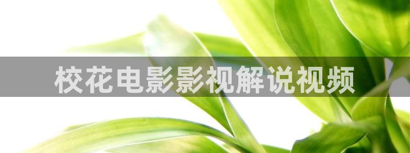 新视觉首播：校花电影影视解说视频