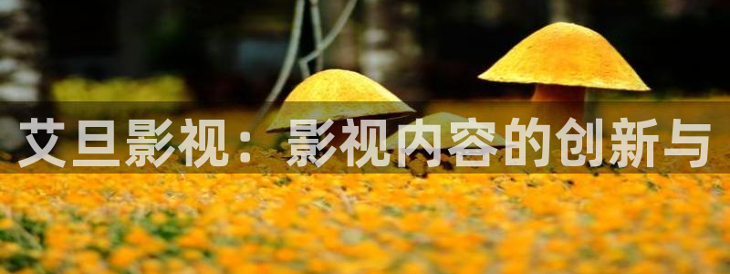 新视觉影视：艾旦影视：影视内容的创新与