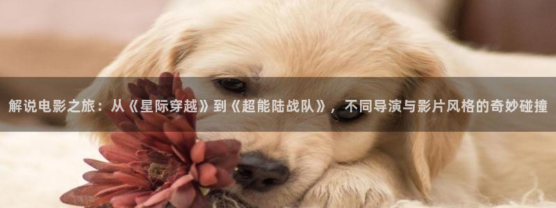 新视觉影院6080yy：解说电影之旅：从《星际穿越》到《超能陆战队》，不同导演与影片风格的奇妙碰撞