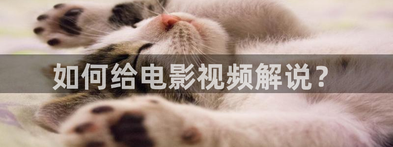 新视觉影院理论电影：如何给电影视频解说？