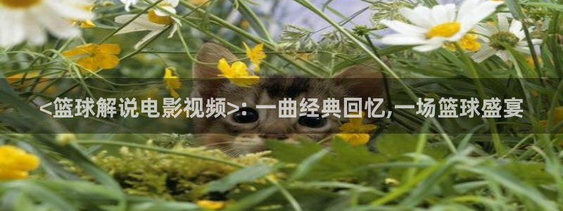 yy4080新视觉电视剧在线观看免费