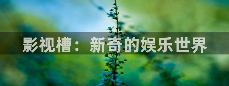 yy6080新视觉琪琪理论电影：影视槽：新奇的娱乐世界