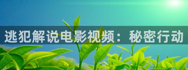 360新视觉：逃犯解说电影视频：秘密行动