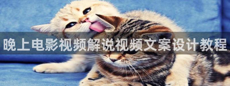 殇情影院新视觉：晚上电影视频解说视频文案设计教程