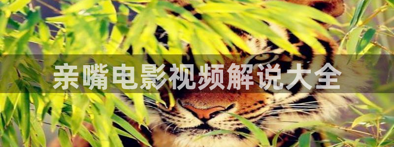 手机新视觉影院：亲嘴电影视频解说大全