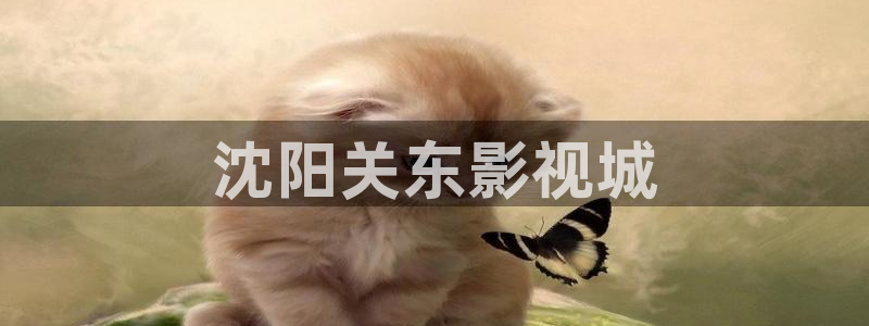 新视觉影院未来午夜理论6080：沈阳关东影视城
