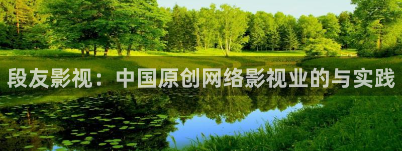 新视觉私人影院：段友影视：中国原创网络影视业的与实践