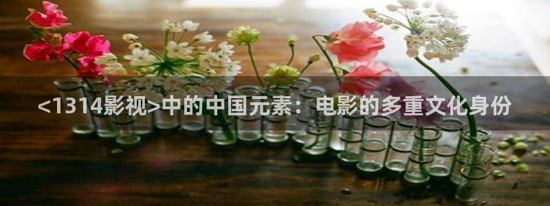 6080新视觉电影电视剧观看平台：<1314影视>中的中国元素：电影的多重文化身份