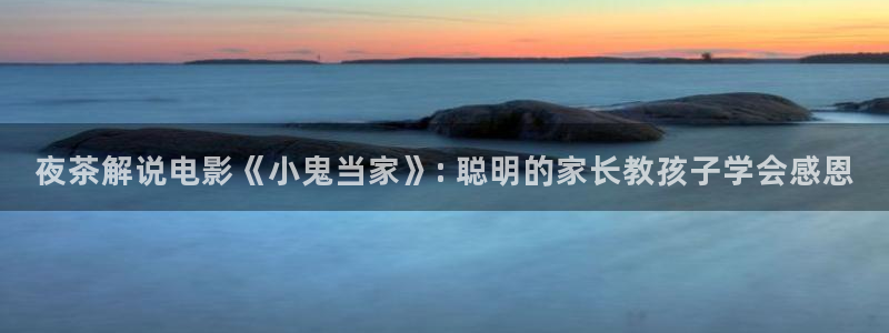 yy6029新视觉影院手机版：夜茶解说电影《小鬼当家》: 聪明的家长教孩子学会感恩