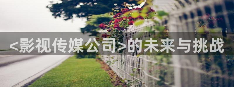 新视觉万达影院：<影视传媒公司>的未来与挑战