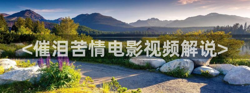 97新视觉：<催泪苦情电影视频解说>