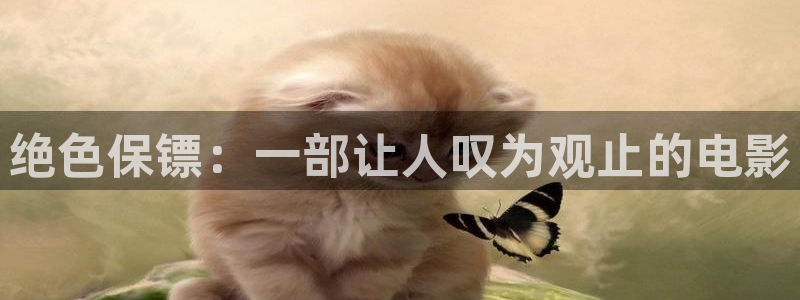 新视觉6070：绝色保镖：一部让人叹为观止的电影