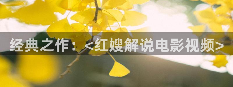 yy6080新视觉影院伦理：经典之作：<红嫂解说电影视频>