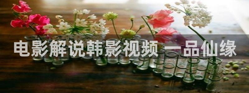 6080新视觉伦理：电影解说韩影视频 一品仙缘