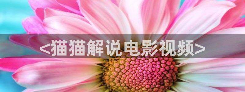 6080新视觉电影在线观看：<猫猫解说电影视频>