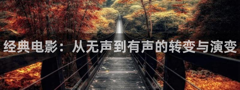 92yy新视觉：经典电影：从无声到有声的转变与演变