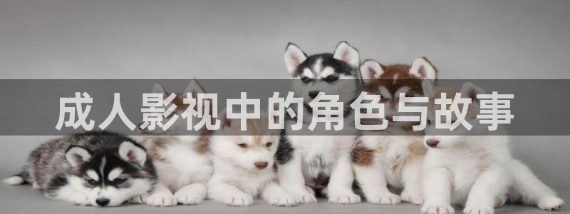 新视觉影院：成人影视中的角色与故事