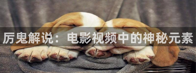 新视觉：厉鬼解说：电影视频中的神秘元素