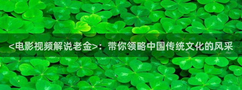 4080新视觉电影院：<电影视频解说老金>：带你领略中国传统文化的风采
