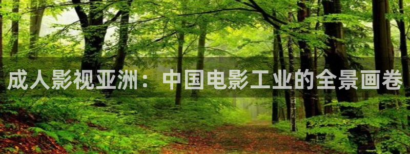 新视觉影院97：成人影视亚洲：中国电影工业的全景画卷