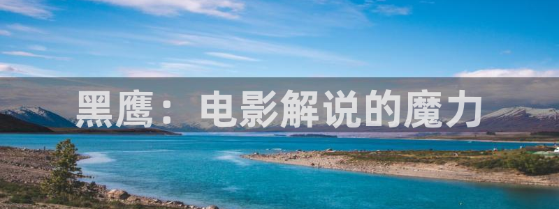 6080新视觉神马电影院：黑鹰：电影解说的魔力