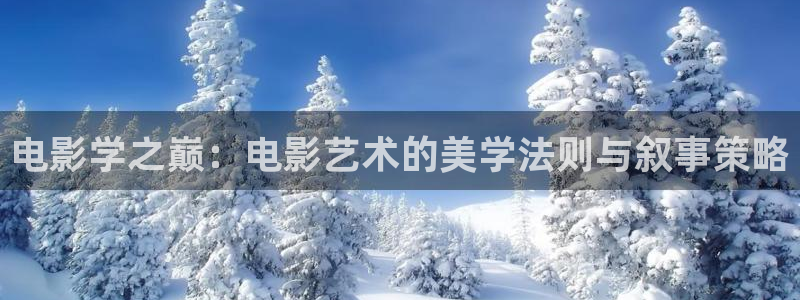 新视觉设计：电影学之巅：电影艺术的美学法则与叙事策略
